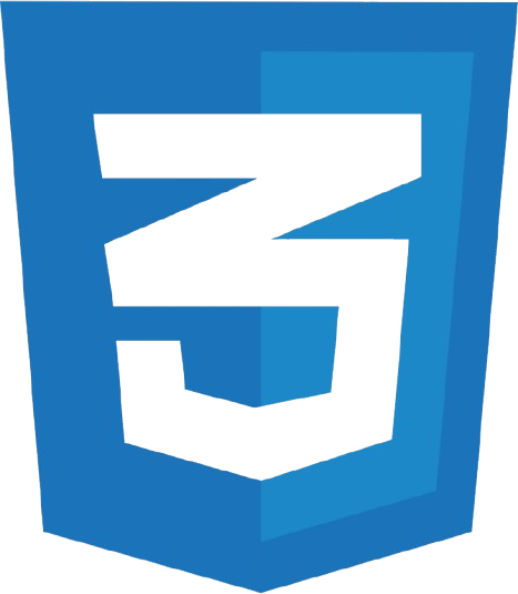 CSS Logo